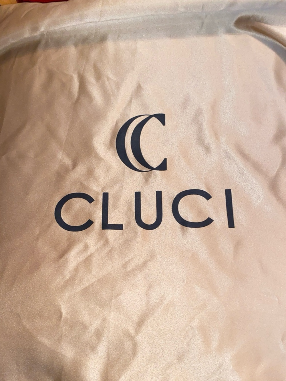 CLUCI dust bag 22x20” in great condition